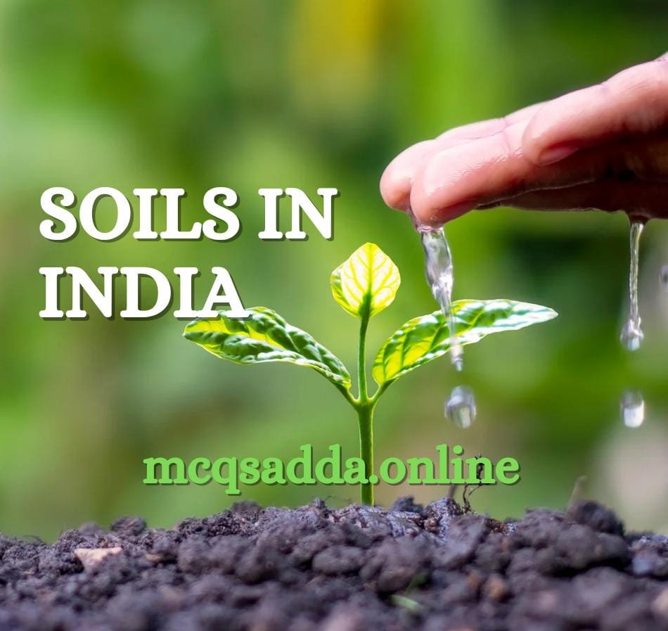 Soils in India