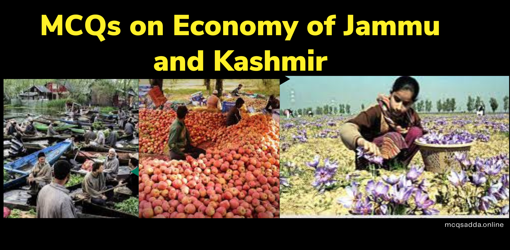 MCQs on Economy of Jammu and Kashmir