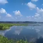 New Ramsar sites in India .
Ansupa Lake 
