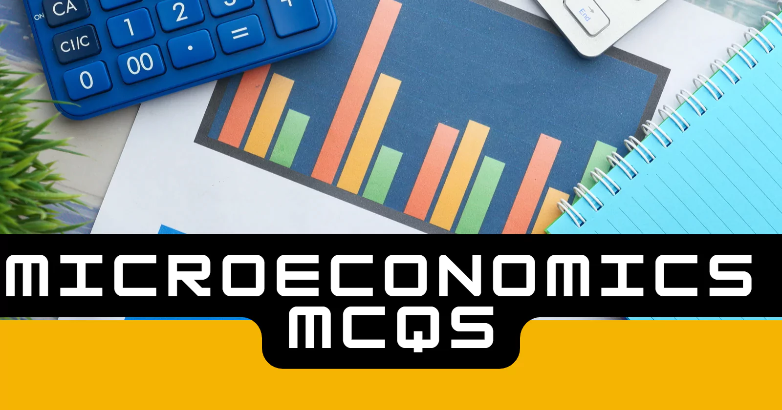 Microeconomics mcqs with answers pdf