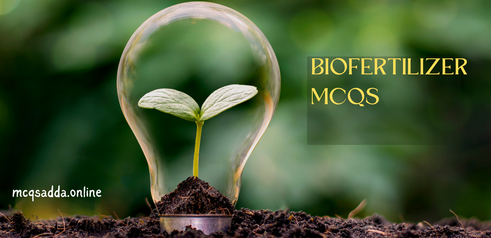 Biofertilizer questions and answers