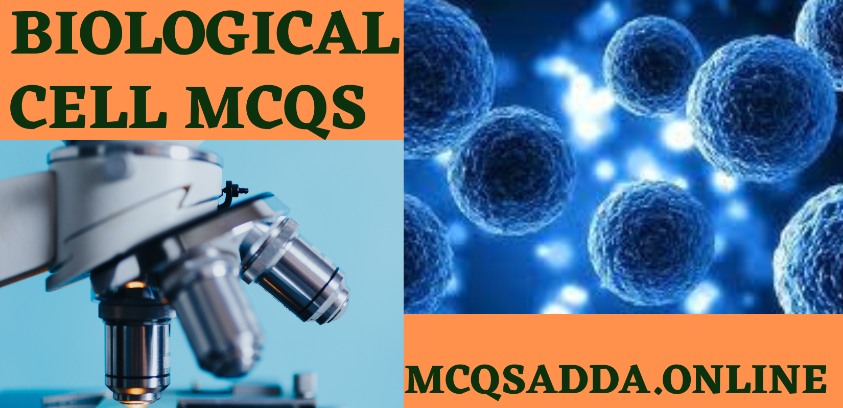 Biological cell MCQs