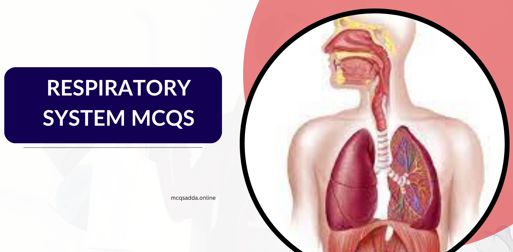 Respiratory System MCQs with answers