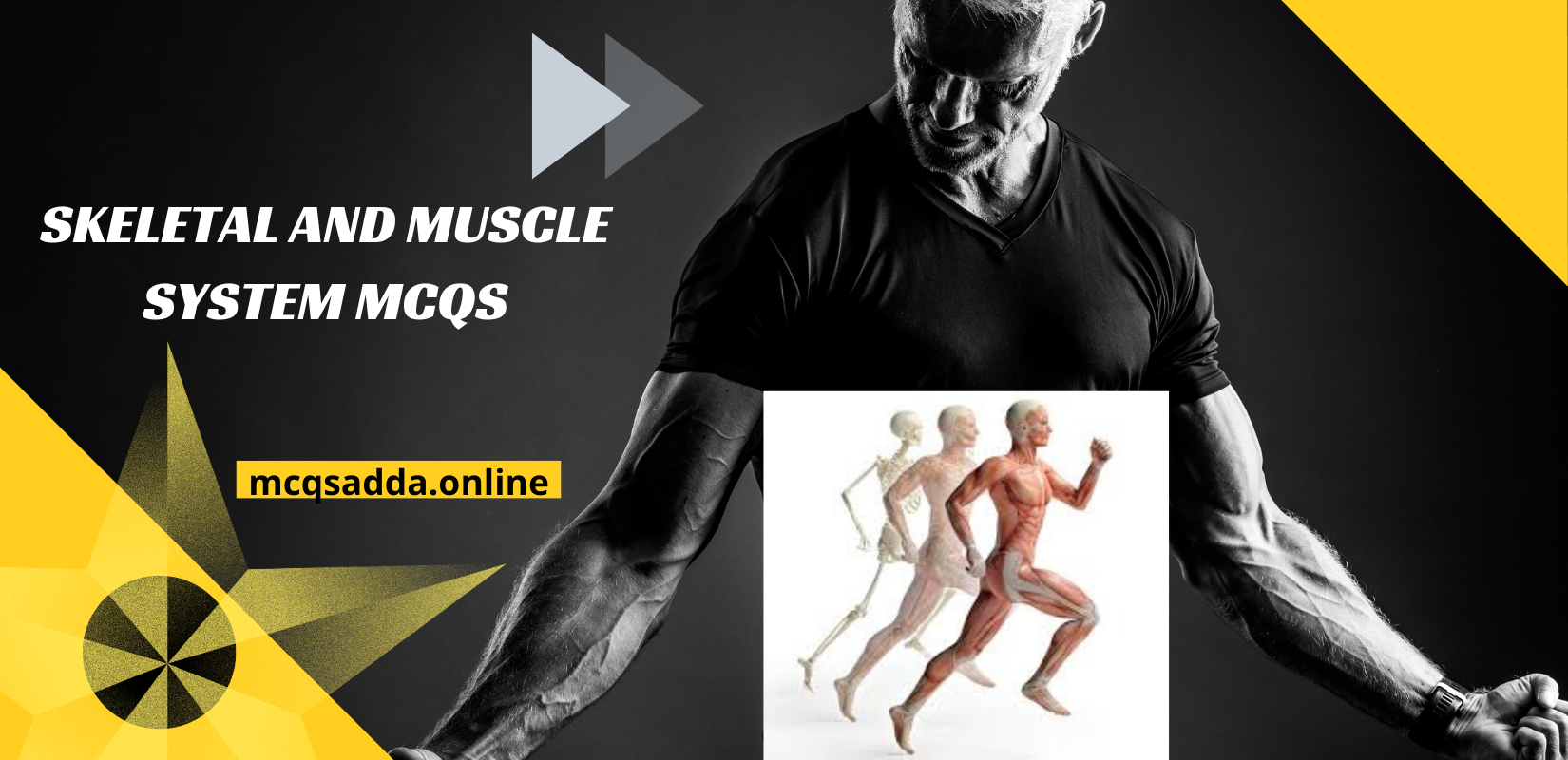 Skeletal and Muscle System MCQs