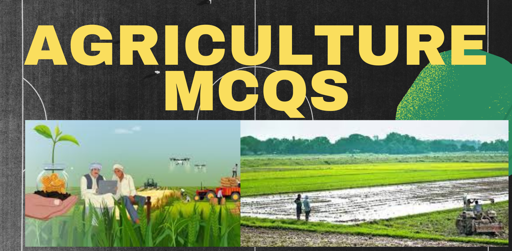 Important Agriculture MCQs