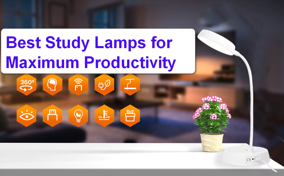Best Study Lamps for Maximum Productivity