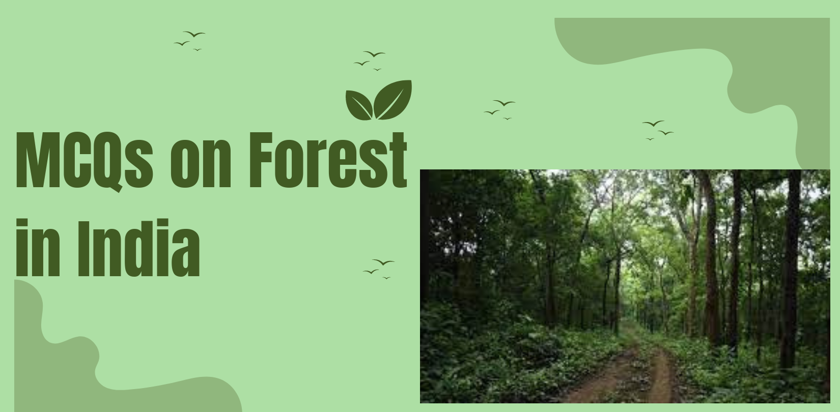 MCQs on Forest in India